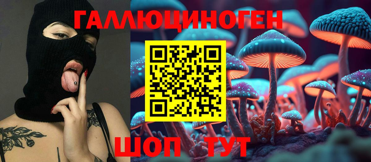 Анжеро-Судженск  закладка  Вход с VPN  Псилоцибиновые грибы MAGIC MUSHROOMS 